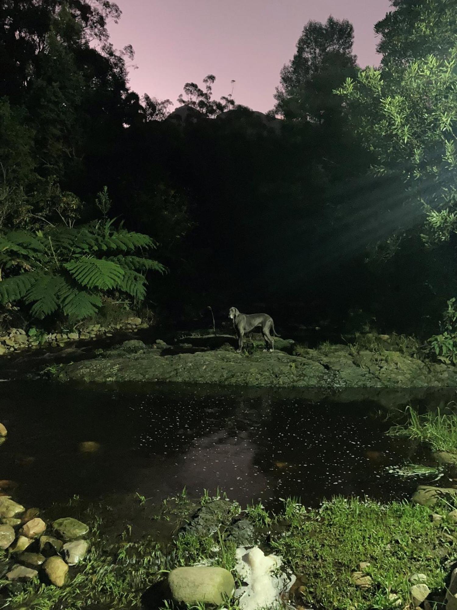 A Riverbed Guesthouse Swellendam Luaran gambar