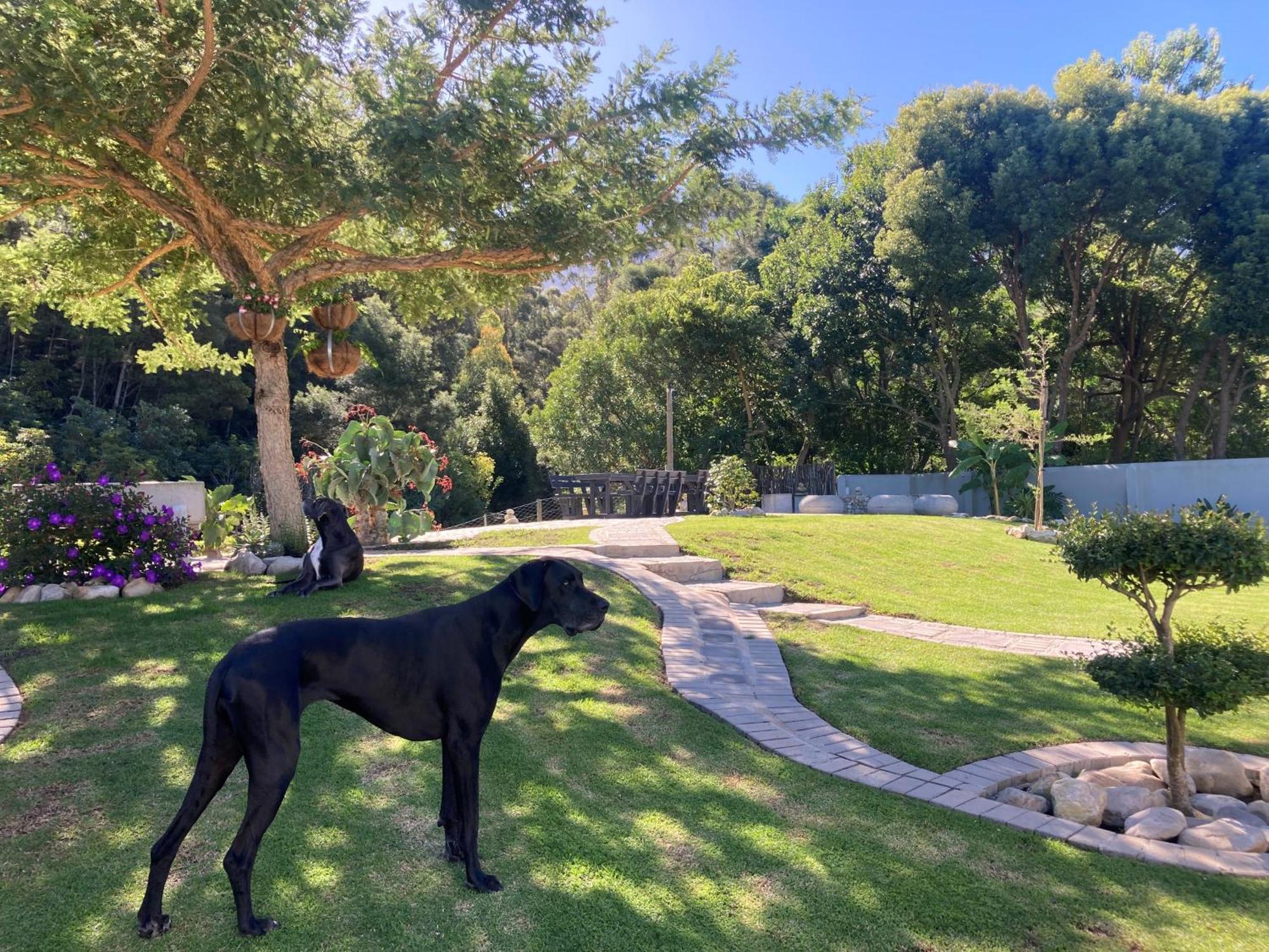 A Riverbed Guesthouse Swellendam Luaran gambar